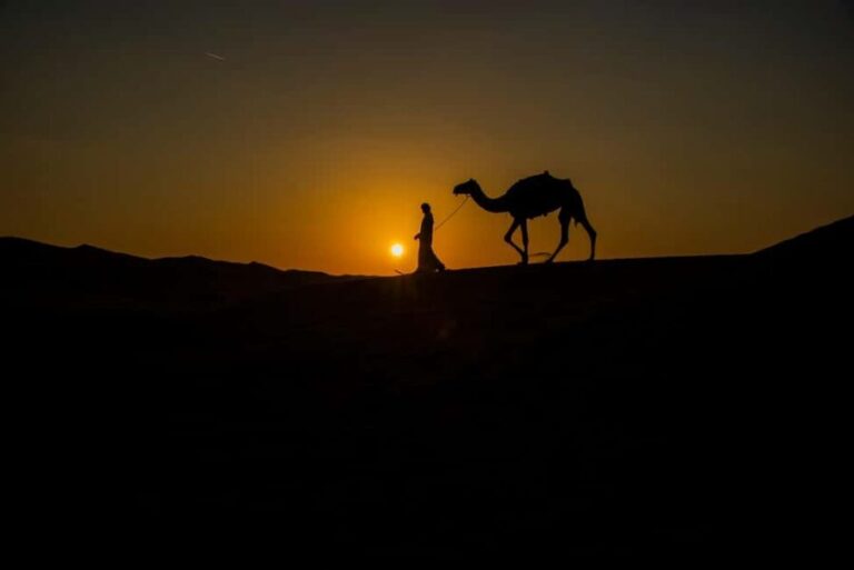 Under the Arabian Stars: Doha Night Desert Safari Adventure - Sealine & Bedouin Tents