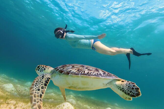 Underground Cenote River and Akumal Turtle Search - The Sum Up: Who Should Consider This Tour?