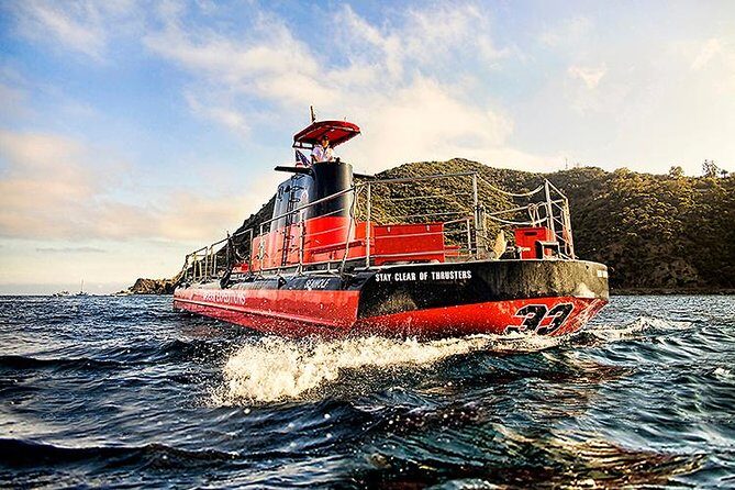 Undersea Expedition: Catalina Island Tour - The Itinerary in Detail