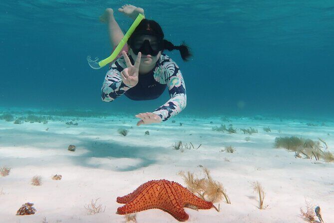 Underwater Snorkel Experience day in Cozumel with Transportation from Cancún - The Value: Is It Worth It?