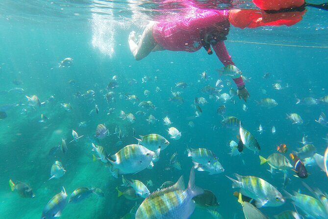 unforgettable snorkeling activity in The Sea of Cortes - The Duration and Group Size