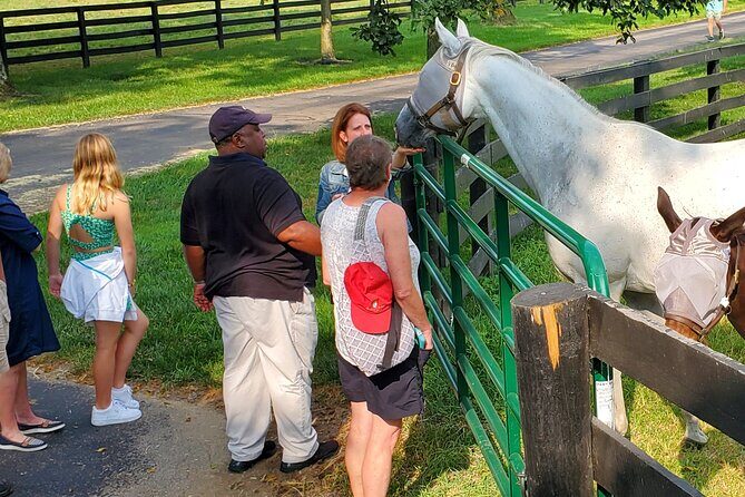 Unique Horse Farm Tours with Insider Access to Private Farms - The Real Experience: What You Should Expect