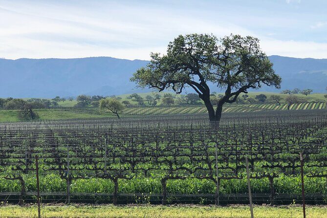 Unique Santa Barbara Wine Country Private Wine Tours and Tastings - Frequently Asked Questions