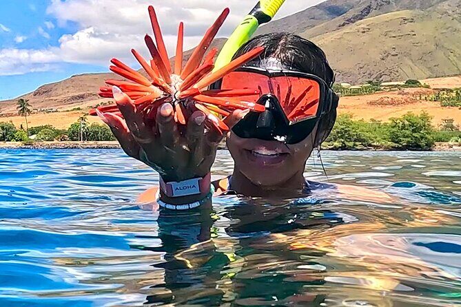 Unlimited Guided Snorkeling Tour for Beginners Plus - Authentic Reviews and Real Experiences