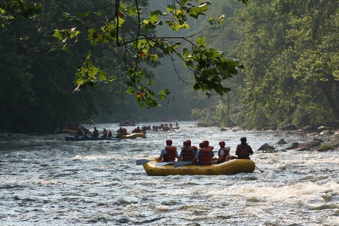 Upper Pigeon River Whitewater Rafting