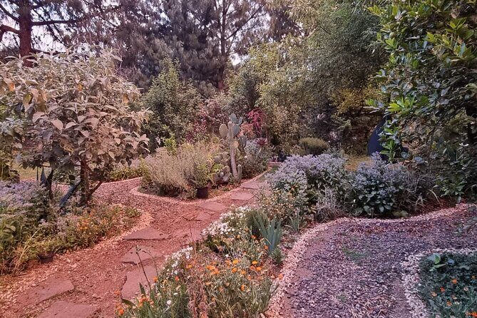 Urban Orchard in Desierto de los Leones in Mexico City - Exploring the Garden’s Rich Plant Life