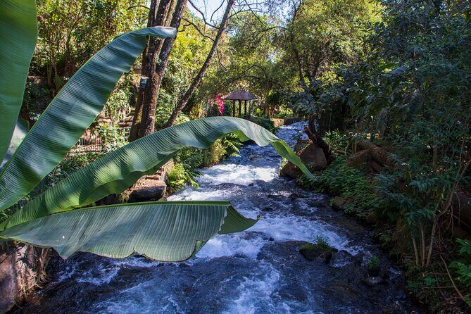 Uruapan Tour and Avocado Garden with Breakfast - FAQ