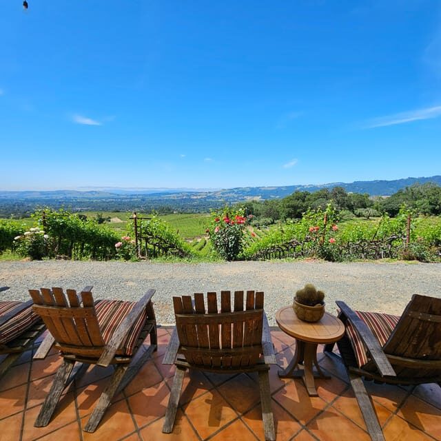 USA/California/Napa: Private Wine Tour for up to 6 guests - The Details That Make a Difference