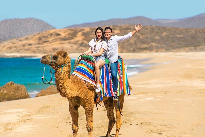 UTV and Camel Ride in the Cabo Desert - Authentic Experiences and Real Feedback