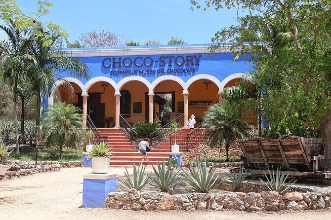 Uxmal Cultural and Gastronomic Tour and Cocoa Museum - The Cocoa Museum: A Journey from Seed to Sip