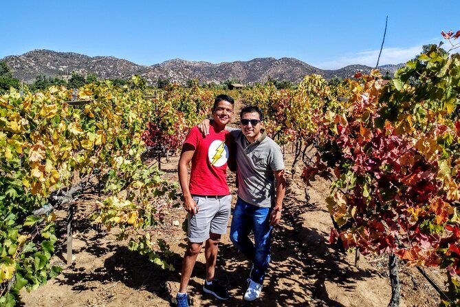 "Valle de Guadalupe", Live, Enjoy and Meet the Golden Valley - Authentic Experiences and Genuine Insights