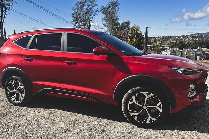 Valle de Guadalupe Private Transportation - The Route and Stops: What You Might Encounter