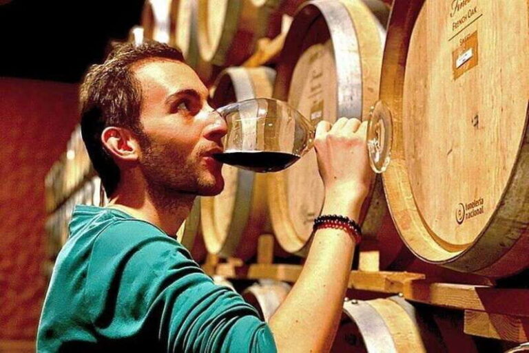 Valle de Guadalupe: Wine Tasting and Wagon Tour - What the Tour Includes