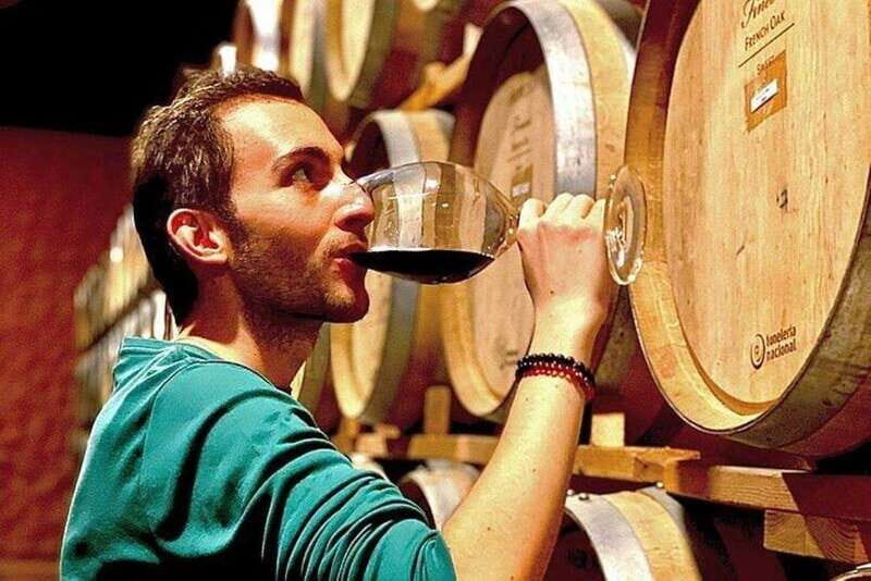 Valle de Guadalupe: Wine Tasting and Wagon Tour