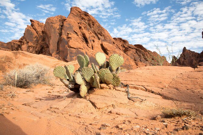 Valley of Fire and Lost City Museum Tour from Las Vegas - Who Should Consider This Tour?