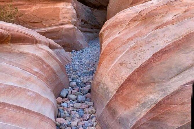 Valley of Fire/ Mojave Desert VIP Small Group Tour From Las Vegas - What the Reviews Say