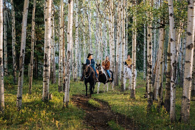 Valley Vista 1.5 Hour Horseback Trail Ride in Kananaskis - Who Will Enjoy This Tour?