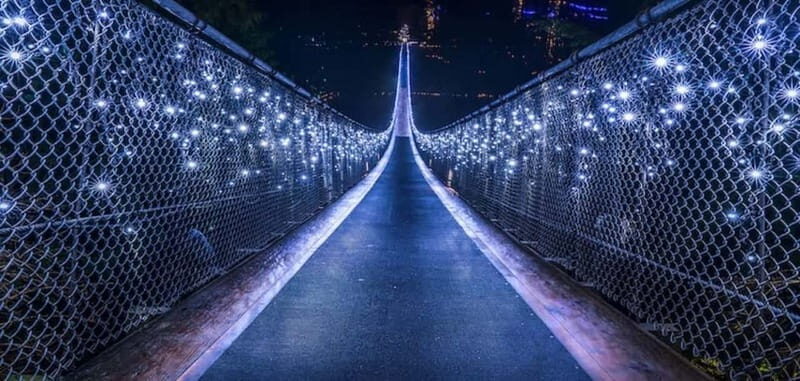 Vancouver: Attractions by Twilight Guided Tour with Dinner - The Itinerary in Detail