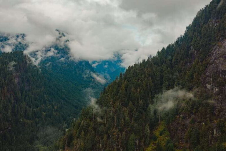 Vancouver: Backcountry Helicopter Tours with Hotel Pickup - Who Will Love This Tour?