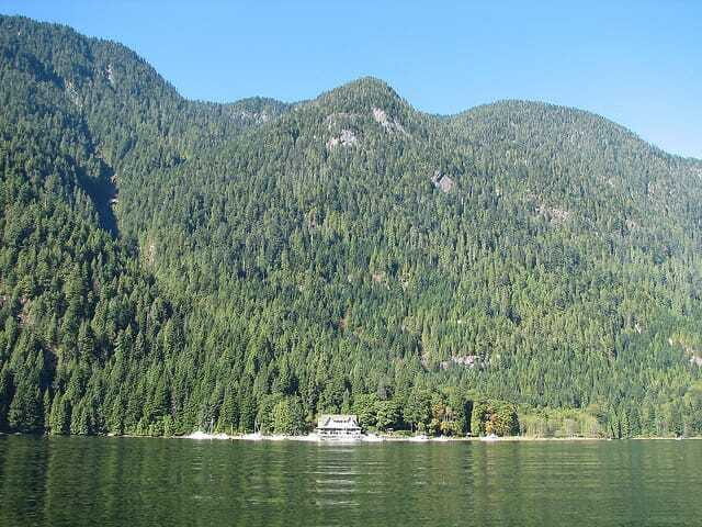 Vancouver Brunch Cruise - Who Should Consider This Tour?