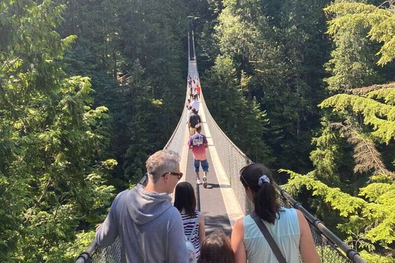 Vancouver Capilano Canyon light&peak of Christmas in Grouse - Is it Good Value? Analyzing the Price