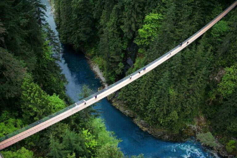 Vancouver: Capilano Suspension Bridge Park Ticket - Authentic Visitor Perspectives