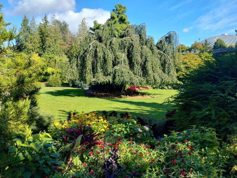 Vancouver Car Tour: See All City Attractions/Save Time&Money - Detailed Breakdown of the Itinerary