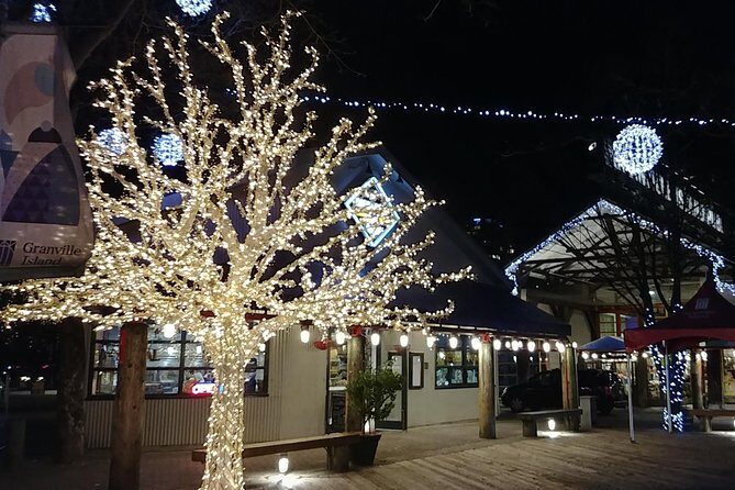 Vancouver Christmas Festival of Lights - Who Would Enjoy This Tour?