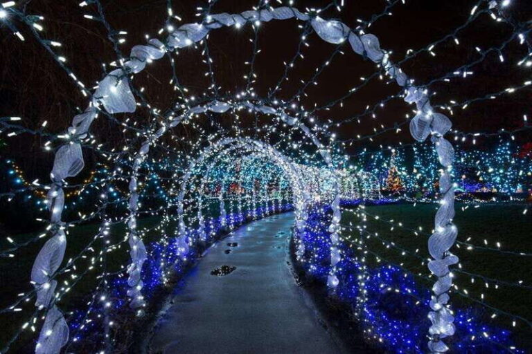 Vancouver: Christmas Lights Karaoke Trolley Tour - What to Expect on the Tour