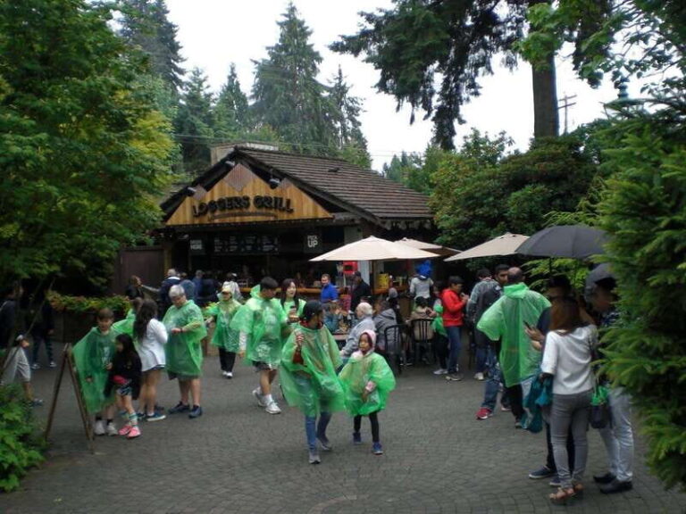 Vancouver: City and Mountain Adventure with Grouse Mountain - What’s Included and What’s Not