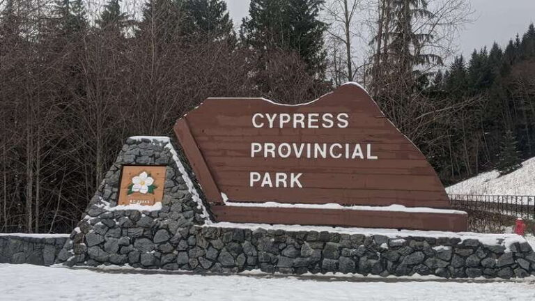 Vancouver city tour & Adventure at Cypress Mountain Private - The Journey Begins: From Downtown to the Mountain