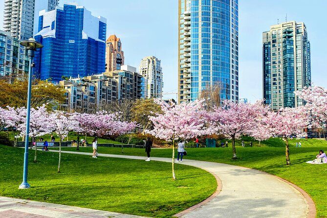 Vancouver City Tour with Cherry Blossom Festival Private - The Value of This Tour