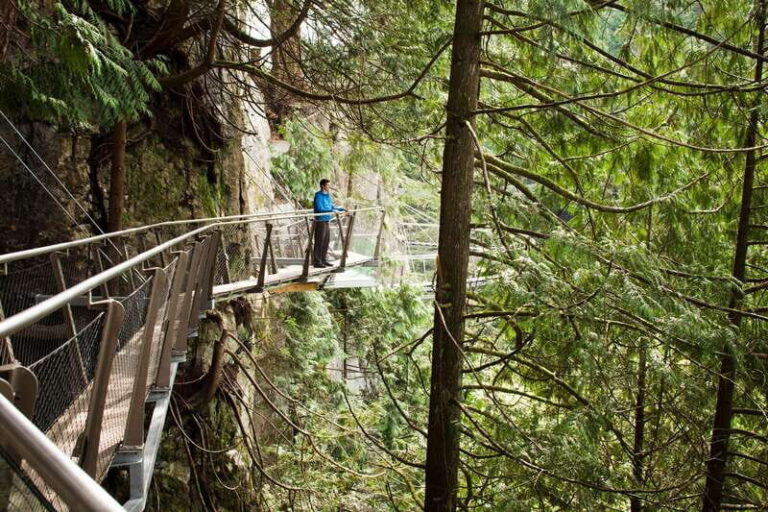 Vancouver: City+Lookout+Capilano Suspension Bridge Ticket - The Itinerary in Detail