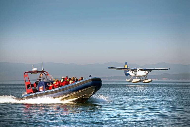 Vancouver: Day Trip to Victoria Seaplane with Whale Watching - A Closer Look at the Whale-Watching Tour