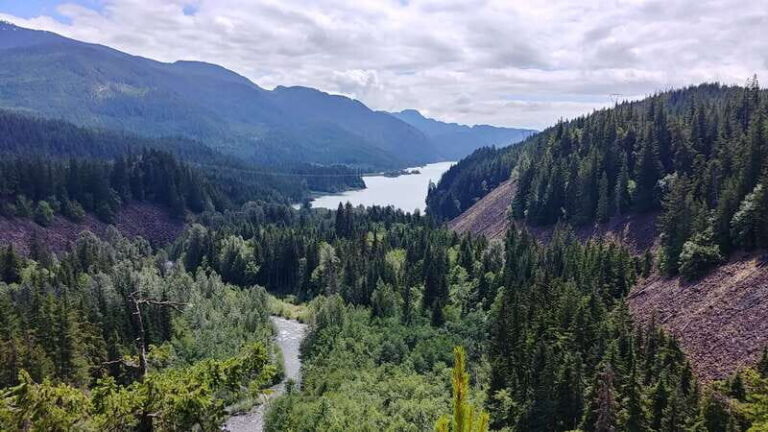 Vancouver: Full-Day Whistler Private Tour - What Makes This Tour Stand Out?