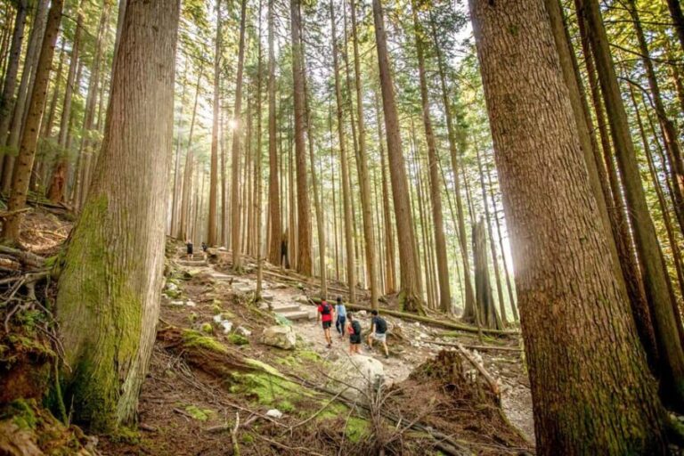 Vancouver: Guided Hiking Highlights at Grouse & Lynn Canyon - Authentic Experiences: What Travelers Say
