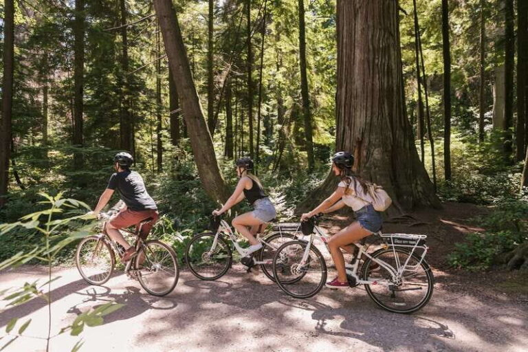 Vancouver: Half-Day City Highlights E-Bike Tour Age 16+ - An In-Depth Look at the Tour