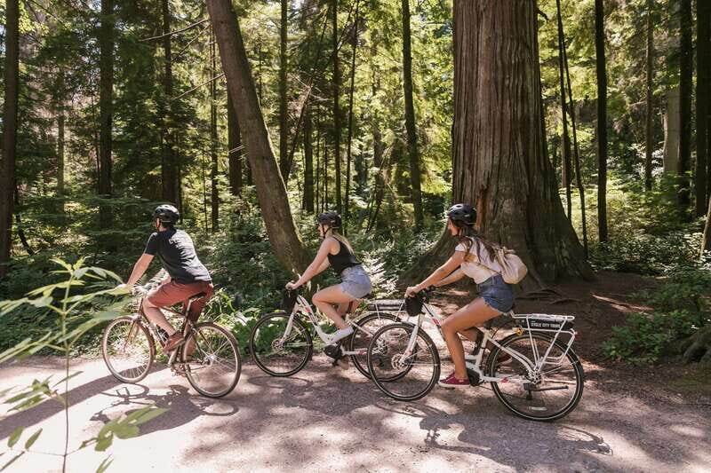 Vancouver: Half-Day City Highlights E-Bike Tour Age 16+ - An In-Depth Look at the Tour