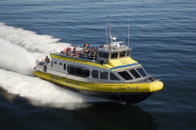 Vancouver Island Half-Day Whale Watching Tour - Telegraph Cove - Overview of the Tour Experience