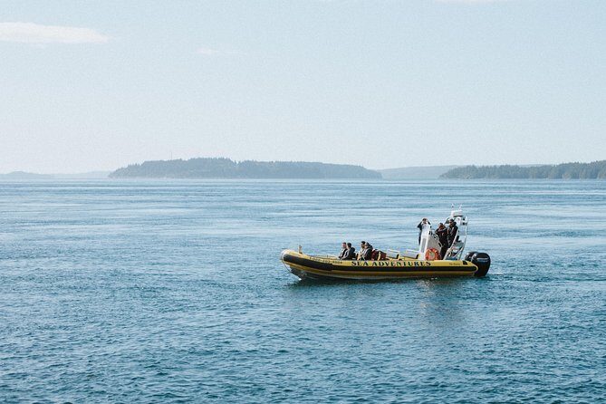 Vancouver Island Zodiac Whale Watching Adventure - Telegraph Cove - Exploring the Experience in Depth