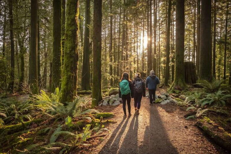 Vancouver: Lynn Valley Suspension Bridge & Nature Walk Tour - Who Should Consider This Tour?