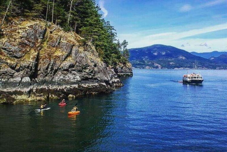 Vancouver: Morning Kayak & Seal Cruise - The Practical Side: Pricing and What You Get