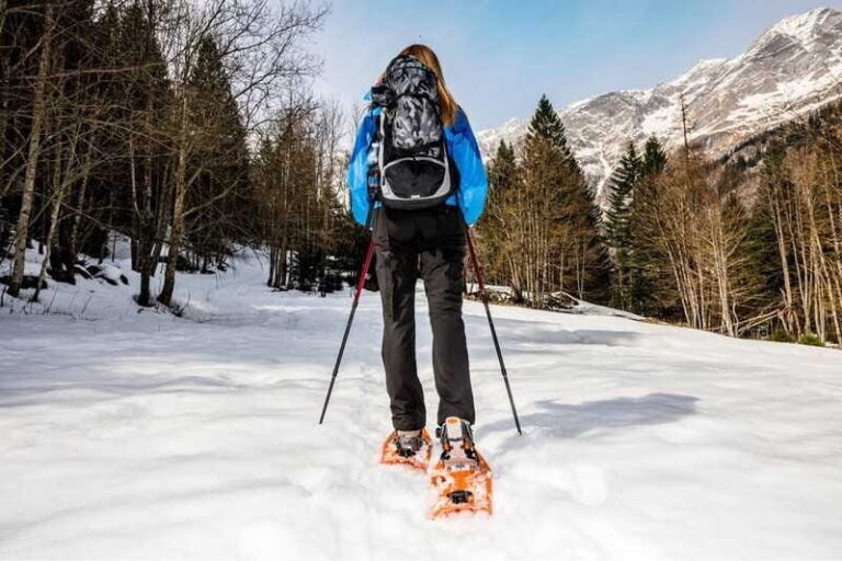 Vancouver: Mount Seymour/ Winter Hike/ Snowshoeing - Included and Not Included