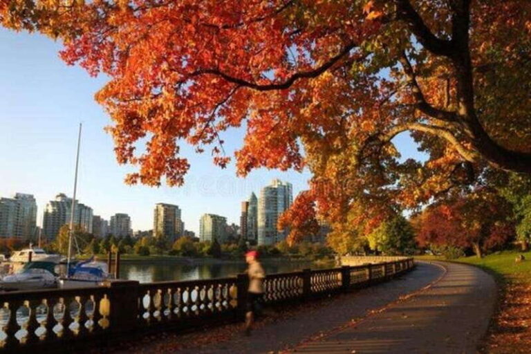 Vancouver : Must-See Attractions Walking Tour With A Guide - Exploring Vancouver’s Main Sights