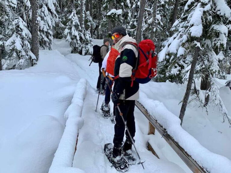 Vancouver: Panoramic View Hiking Tour - What to Expect on Your Hiking Day