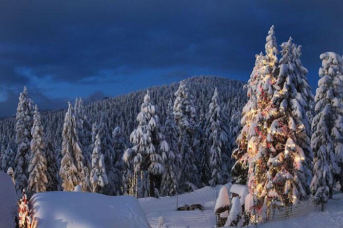 Vancouver Perfect Day Tour Grouse Mountain`& Capilano Suspention Bridge Private - Walking Through Nature: Capilano Suspension Bridge Park