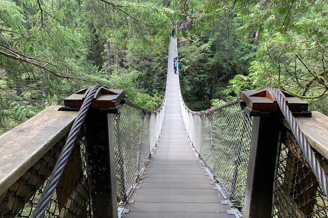 Vancouver Rainforest Hike with Waterfalls, Suspension Bridge, Old Growth Forest - Final Thoughts