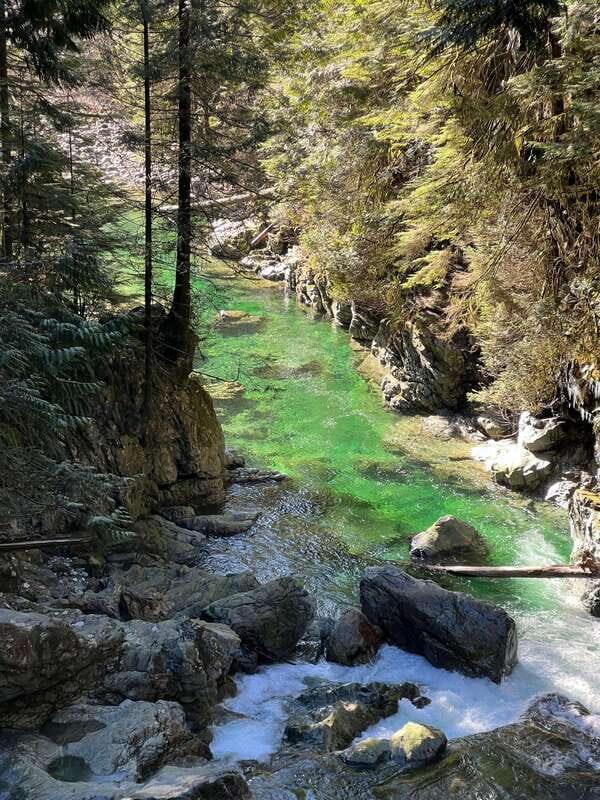 Vancouver: Rainforest Waterfall Hike and Suspension Bridge - The Experience: What Travelers Are Saying