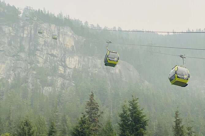 Vancouver, Squamish & Shannon fall Day Private Tour - Who Will Love This Tour?
