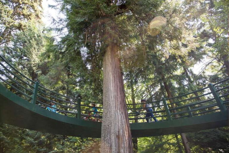 Vancouver: Stanley Park Bicycle Tour - Exploring Vancouver’s Best on Two Wheels